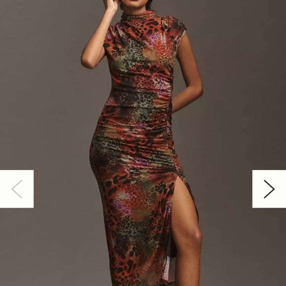 Leopard Print Ruched Dress - Picture 3 of 3